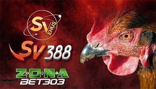 Judi Sabung Ayam Sv388 Apk Situs Agen Terpercaya