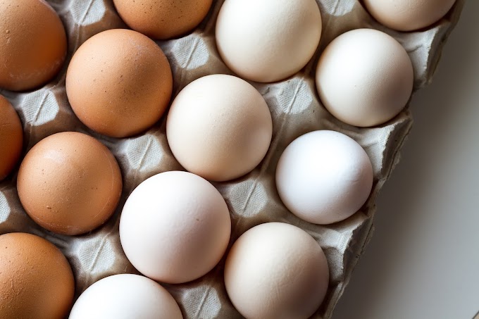 Huevos enriquecidos como alimentos funcionales