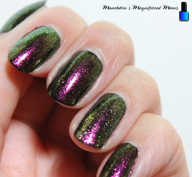 Holo Taco Polar Princess over black