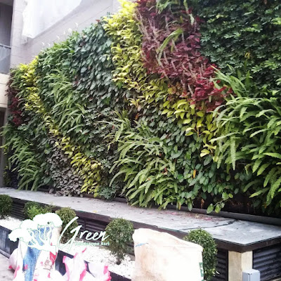 Jasa Taman Dinding Jember - Pembuatan Taman Vertical Garden di Jember Profesional