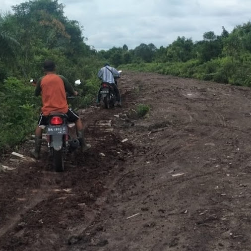 Akses Jalan Menuju Trans SP 1 Dusun Pekan Tua Desa Kuala Tolam Butuh Sentuhan Pembangunan