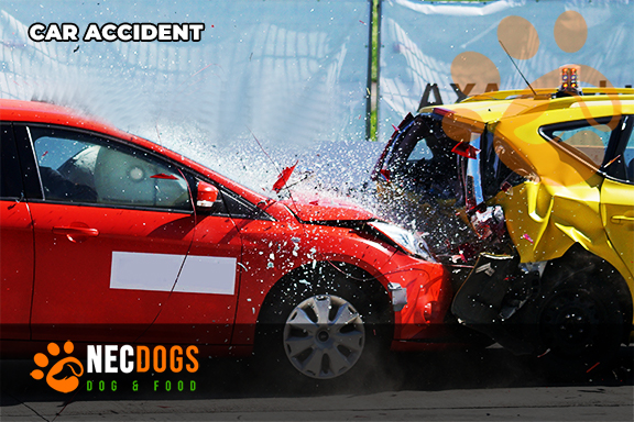 Best Tips For How To Get The Best Car Accident Lawyer | NecDogs