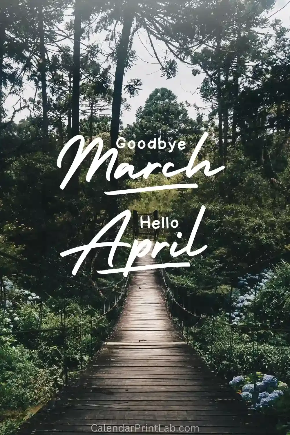 Goodbye March Hello April 2024 Image