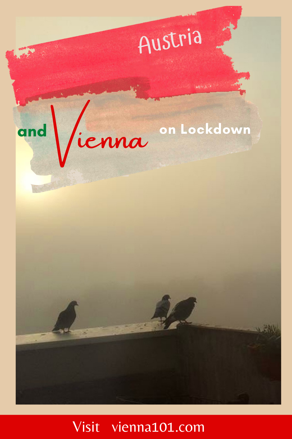 Austria Lockdown November 22