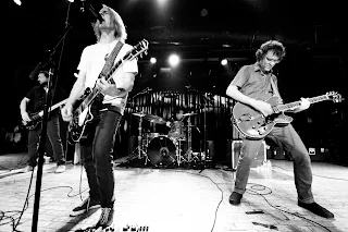 Mudhoney (Banda en directo)