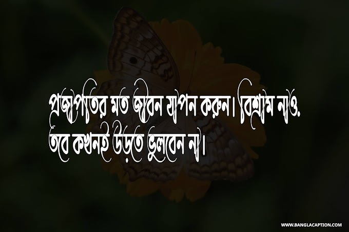 30+জীবন নিয়ে উক্তি/Bangla Quotes About Life