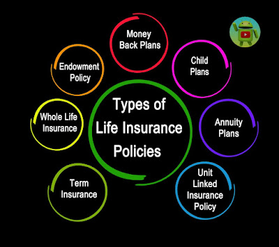 Insurance requirements for small businesses, Best insurance options for new businesses, Budget-friendly business insurance policies, Insurance agent vs online insurance comparison