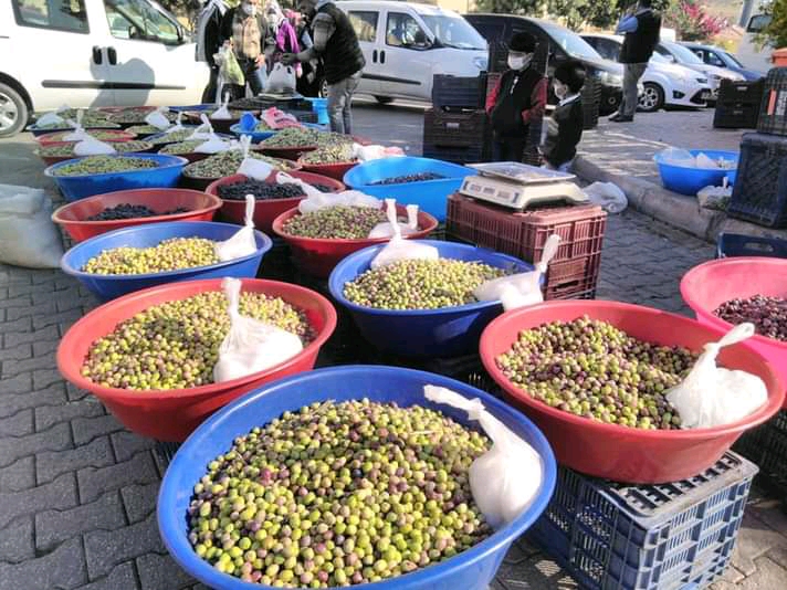 Jaitun fruits with pot