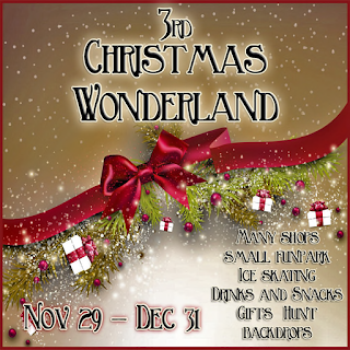 3rd Christmas Wonderland Event