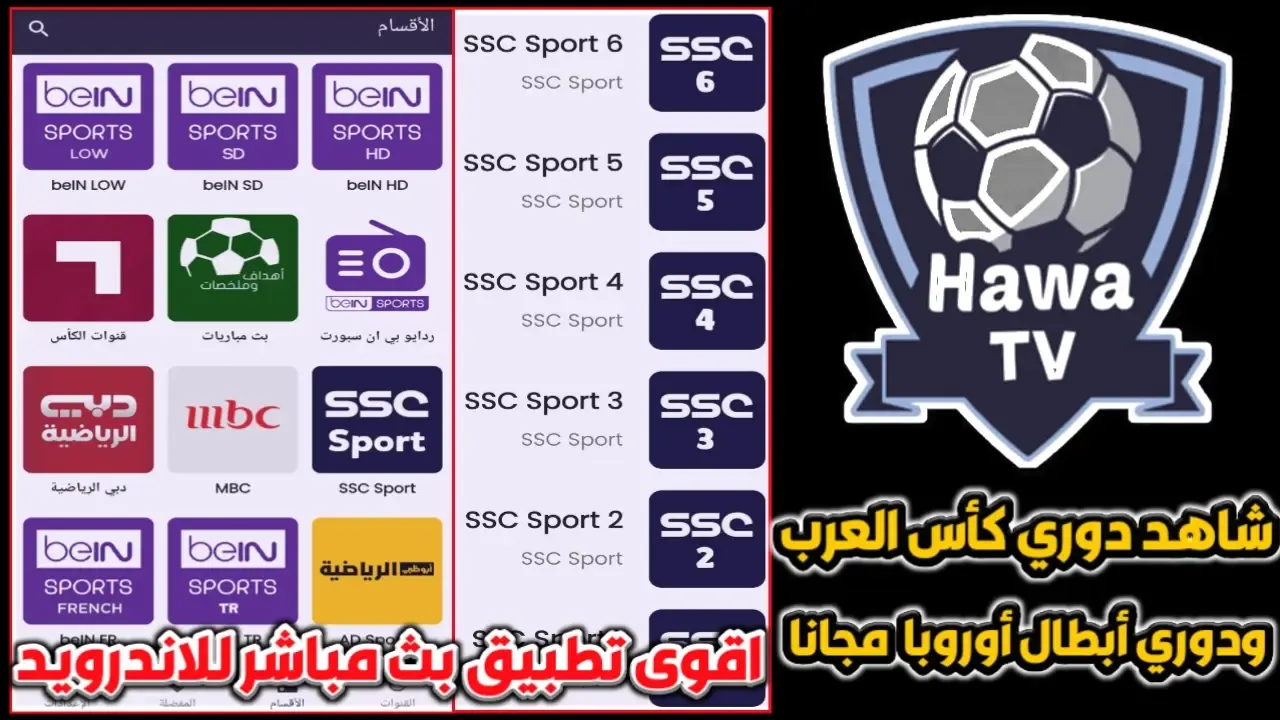 تطبيق Hawa TV افضل تطبيق بث مباشر لمشاهدة مباريات كأس العرب و دوري أبطال أوروبا مجانا