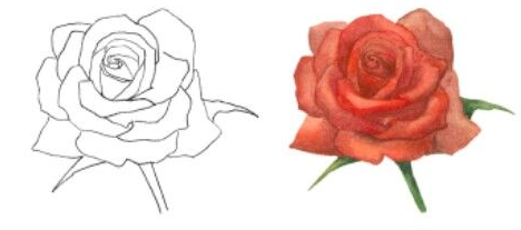 Aprende Como Dibujar una Rosa Paso a Paso [ Guia ]