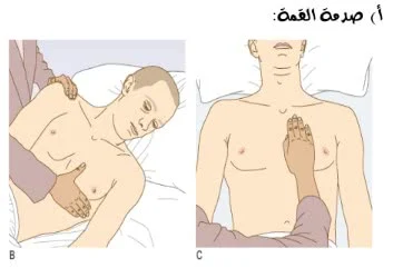 الفحص البدني pdf