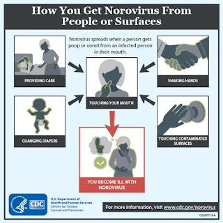 What is NoroVirus । नोरोवायरस क्या है जानिए  नोरोवायरस के लक्षण
