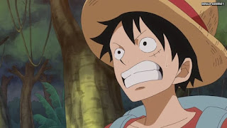 ワンピースアニメ ゾウ編 755話 ルフィ Monkey D. Luffy | ONE PIECE Episode 755