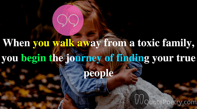 Toxic Two Faced Fake Family, Friends Quotes
