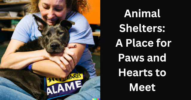 animal shelters