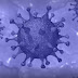 Registran 7,024 casos nuevos positivos al virus; la letalidad continúa en baja y se sitúa en 0.81%
