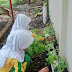 SD TEGALDOWO PANEN SAYURAN