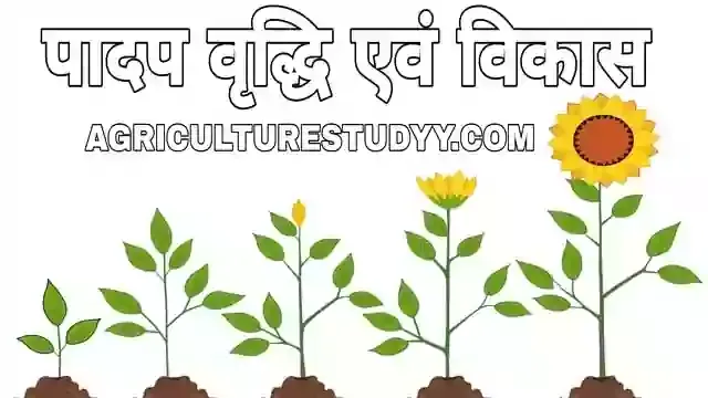 पौधों की वृद्धि, पादप वृद्धि क्या है परिभाषा, पौधों का विकास, पौधों की वृद्धि एवं विकास में क्या अन्तर है, पादप वृद्धि एवं विकास को प्रभावित करने वाले प्रमुख कारक, plant growth and development in hindi