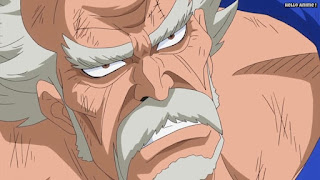 ワンピースアニメ ドレスローザ編 719話 リク王 | ONE PIECE Episode 719