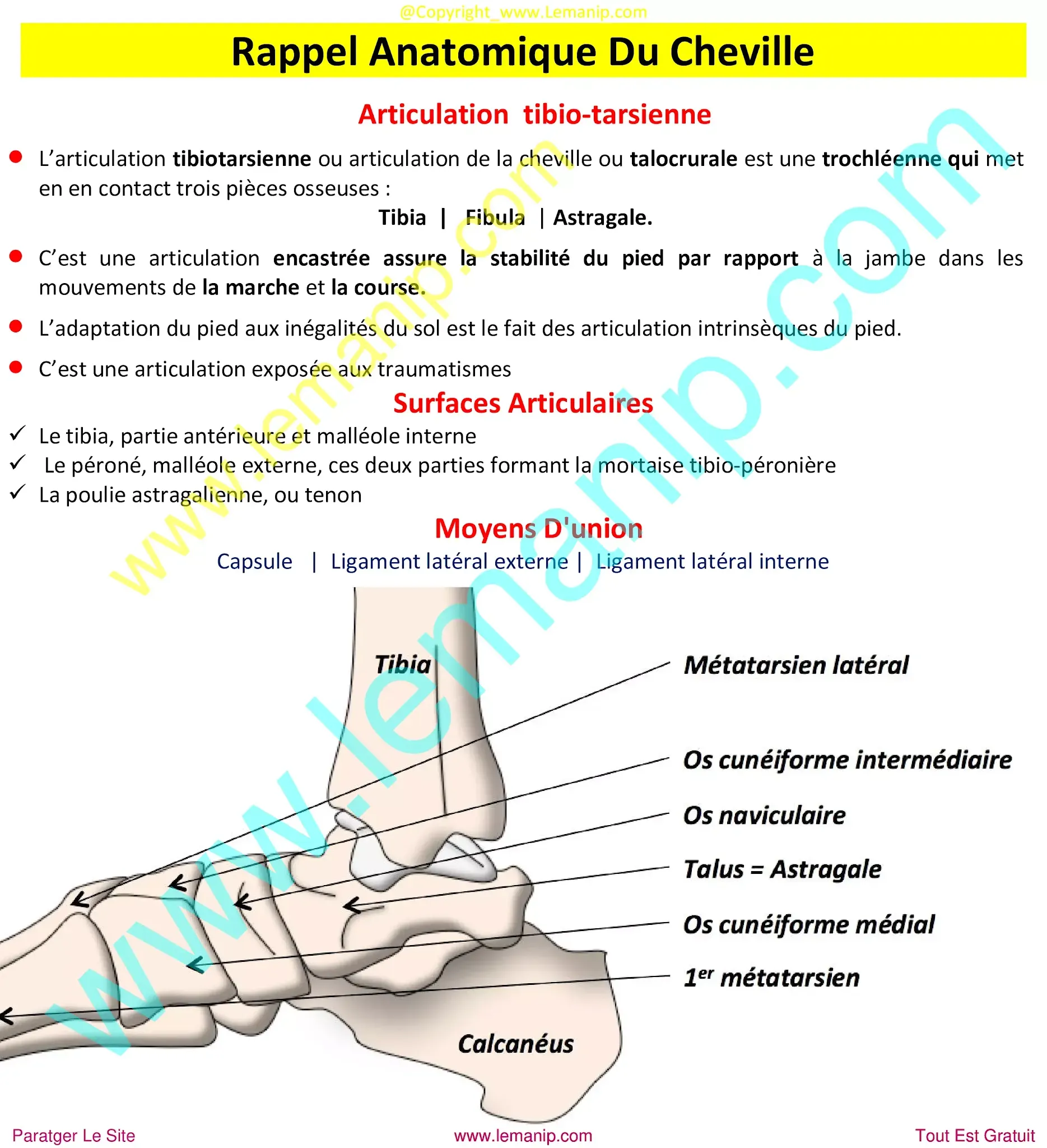 ankle xray,foot xray,broken foot x ray,fractured foot x ray,x ray of plantar fasciitis,twisted ankle xray,fracture x ray foot,ankle injury x ray,plantar x ray,broken foot xrays