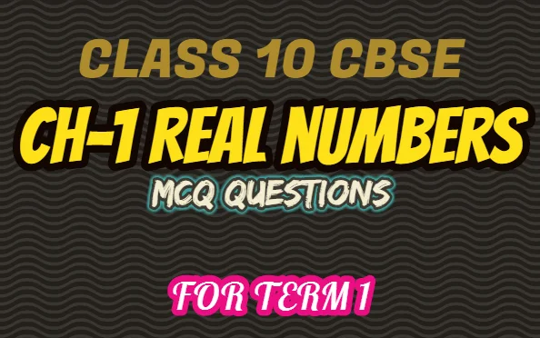 Class 10 Maths Chapter 1 Real Numbers MCQs