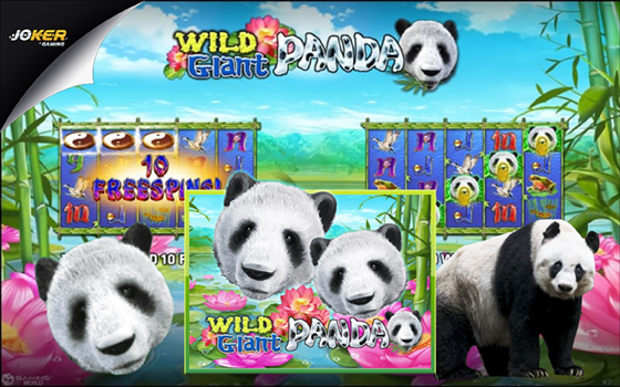 Slotxo wild giant panda