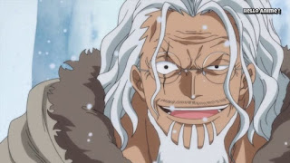 One Piece 第869話 ルフィとレイリーの修行回想 ネタバレ