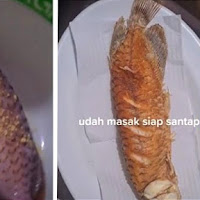 Kesal Suami Tidak Membersihkan Akuarium, Isteri Goreng Ikan Arowana