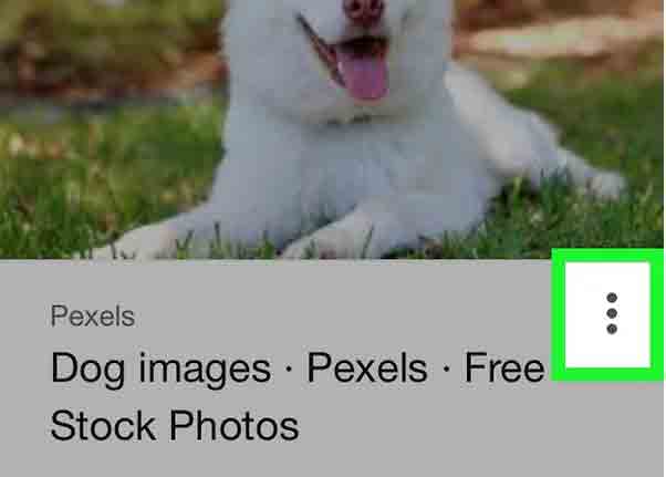 البحث عن الصور من Google باستخدام Apple iPhone