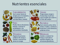 NUTRIENTES ESENCIALES