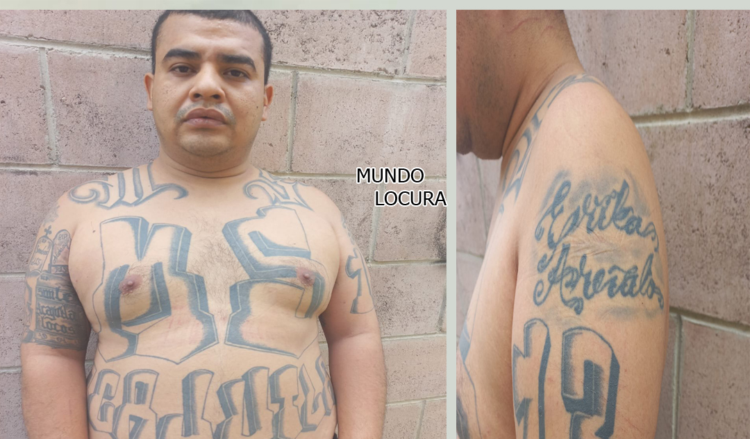 El Salvador: Soldados capturan a pandillero alias "Ñaño" con rango de palabrero en la MS13 en Sonsonate