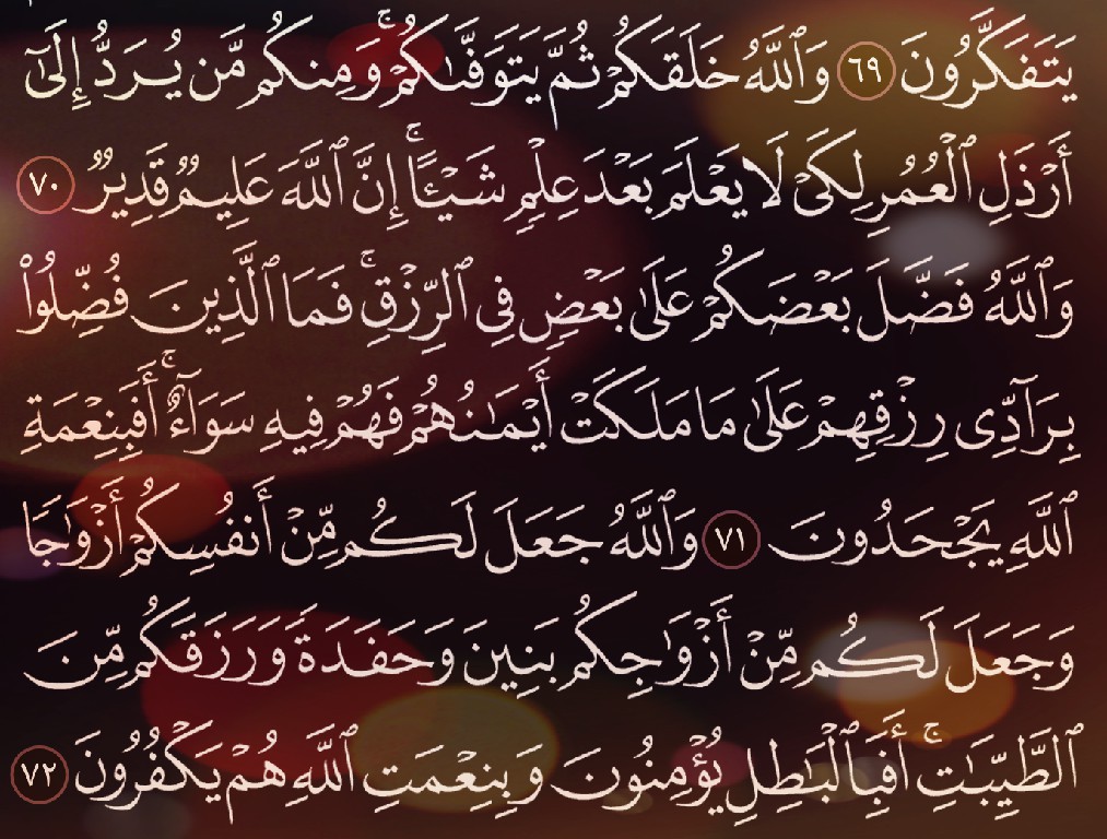 شرح وتفسير, سورة النحل, Surah An-Nahl ,من الآية 56 ,إلى الاية 72,