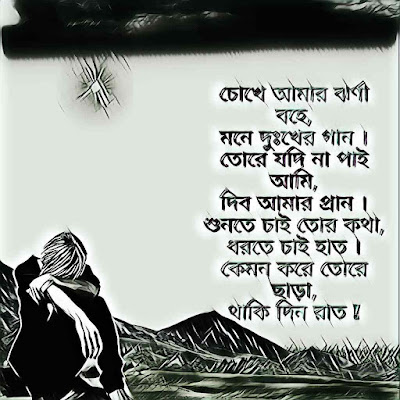 তীব্র ভালোবাসার কবিতা ও এসএমএস love shayari photo love sms bangla | sad bangla shayari