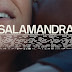 [News] “Salamandra”, de Alex Carvalho, estreia em competição na 45ª Mostra Internacional de Cinema de São Paulo  Co-produzido entre Brasil, França e Alemanha, longa participou da competição da Semana da Crítica do Festival Internacional de Cinema de Veneza de 2021 e marca debute do diretor Alex Carvalho 