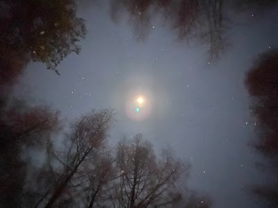 森の中から観る星と月