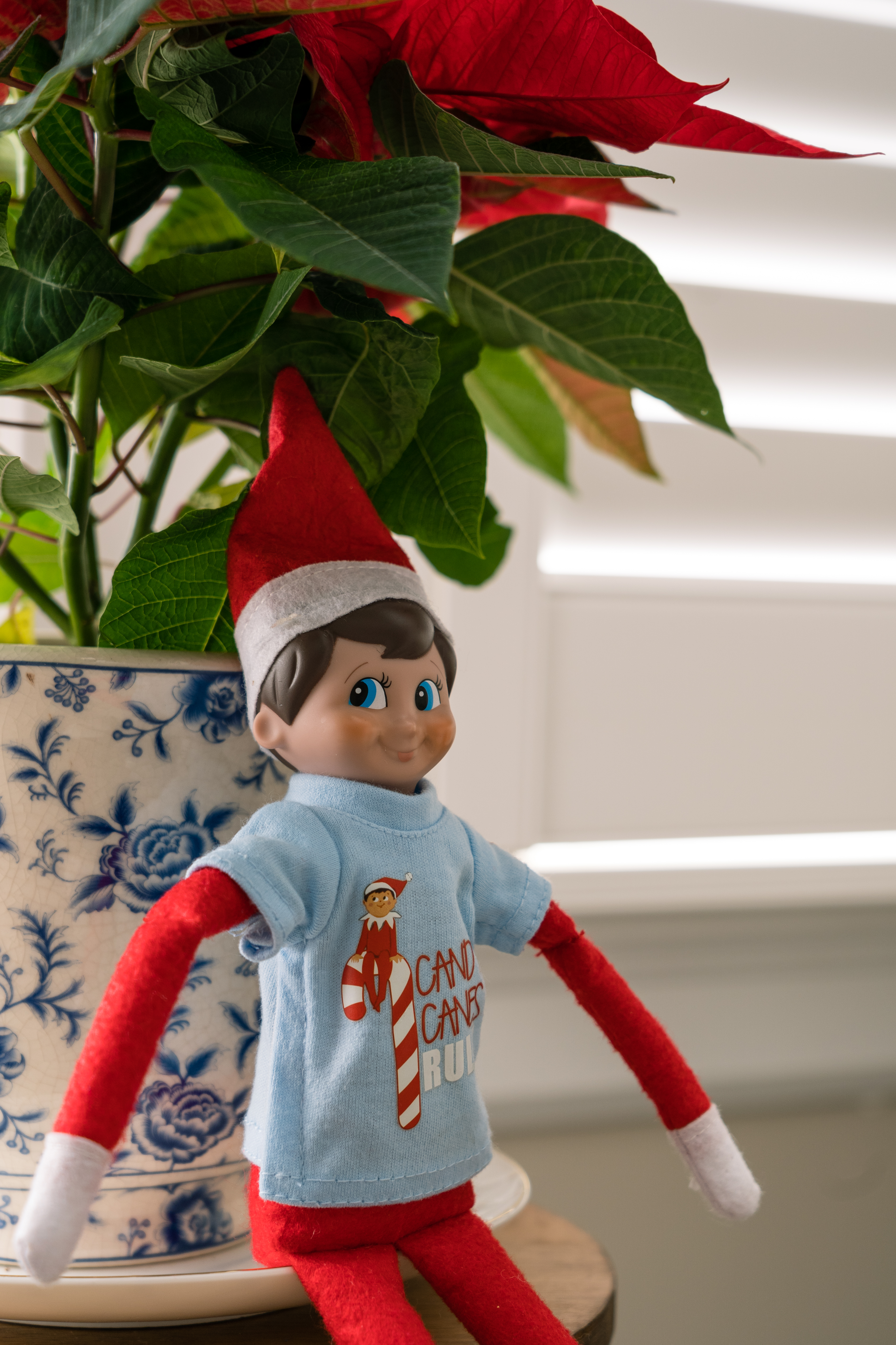 Elf on the shelf in a blue tee-shirt