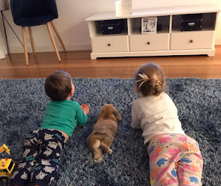 5 Pics of Toddlers and Pets That Made Us Believe in True Friendship