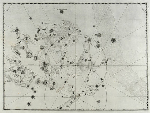Полная пластина 49 Уранометрии Иоганна Байера, 1603 г., на которой показаны 12 новых южных созвездий Хаутмана и Кейзера (Библиотека Линды Холл).