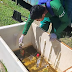 Chikungunya: Amazonas apresenta estabilidade nos casos notificados