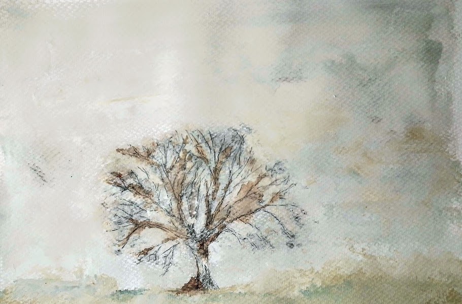 Un árbol del Delta