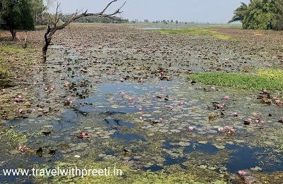 गुलावत लोटस वैली इंदौर - Gulawat Lotus Valley Indore