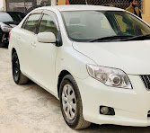 AXIO G GRADE PEARL WHITE 2008