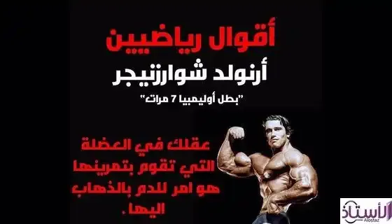 Words-and-phrases-about-bodybuilding
