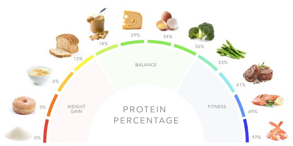 SURPRISING SOURCES OF PROTEIN