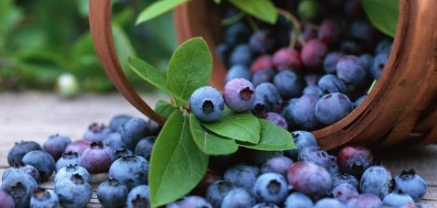 Health Benefits Of Blue Berries