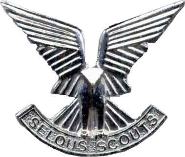 Photograph of the cap badge of the Selous Scouts regiment