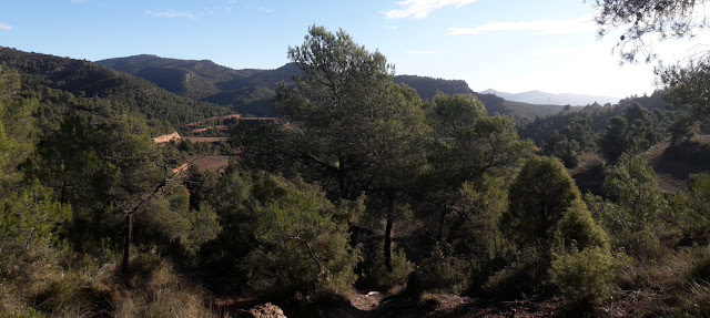 GR-7 Cabra del Camp a Vallespinosa, camí de Cabra del Camp a Vallespinosa, corriol de baixada des del Coll de Sàrria cap a les terres de l'Estret del Palatí