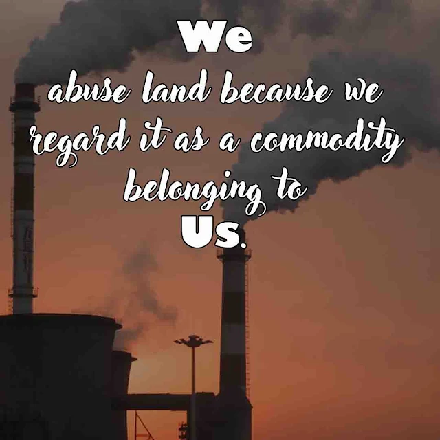 Quotes on environmental pollution