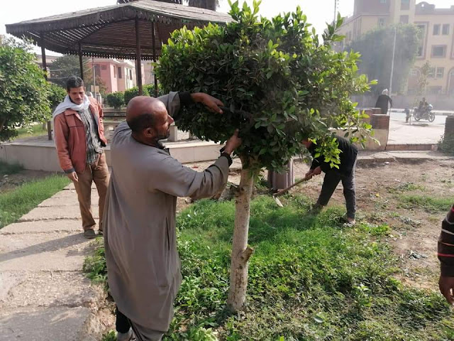 متابعة أعمال النظافة وقص وتهذيب الأشجار بالحديقة أمام الثانوية العسكرية بحي شرق سوهاج.